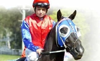 Growing numbers: Jockey Samantha Munro will be one of several female hoops riding in Lismore today. Growing numbers: Jockey Samantha Munro will be one of several female hoops riding in Lismore today.